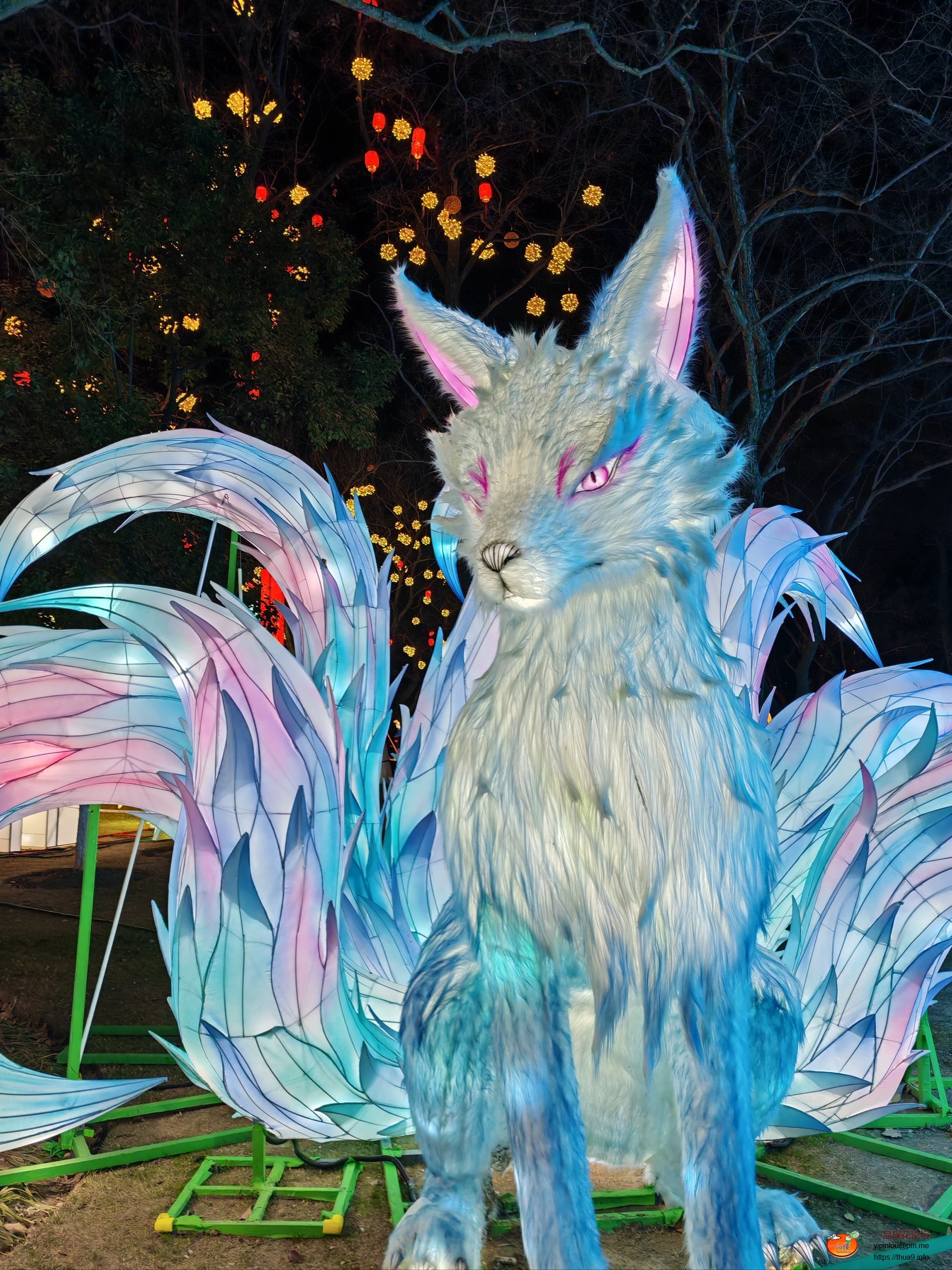 很多人打卡 小狼看不出好在哪.jpg