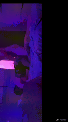 1766210752940.gif