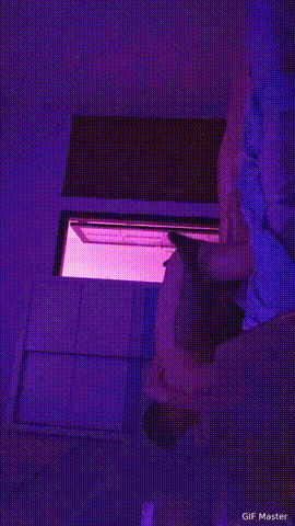 1766483362044.gif