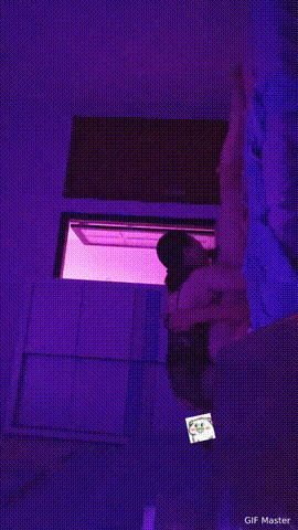 1766210665968.gif